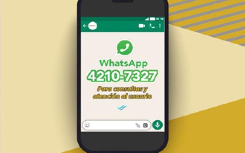 CONSULTAS POR WHATSAPP