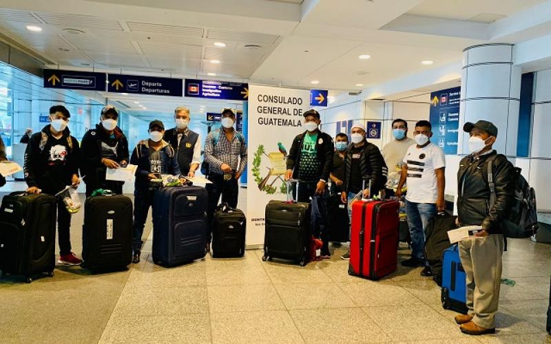 Más de 11 mil 800 guatemaltecos han viajado en 2022 a Montreal, Canadá, para trabajar de manera temporal