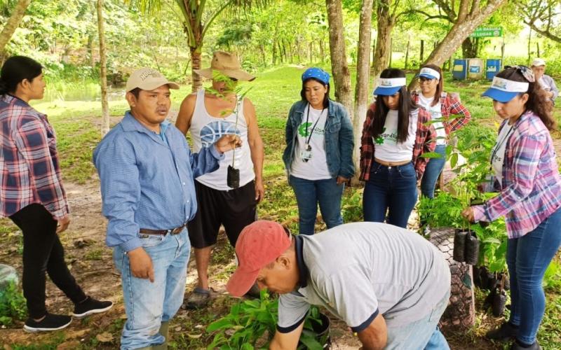 Reforestan ribera del río San Juan en El Chal, Petén
