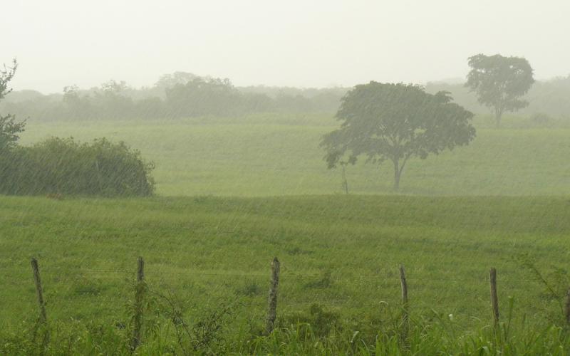 Prevén invierno más copioso para el próximo trimestre 