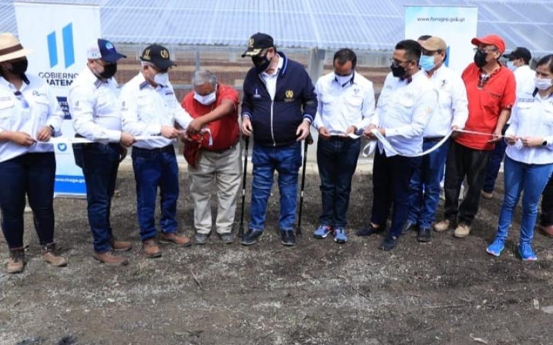 Producción de cacao mejorará su calidad en Cahabón, Alta Verapaz 