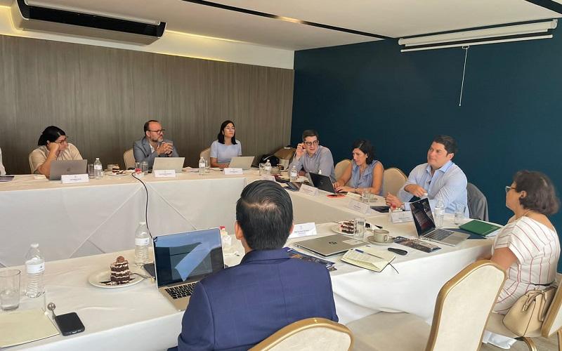 El  ministro de Economía, Dr. Janio Rosales, durante su reunión con la ministra de Economía de El Salvador.