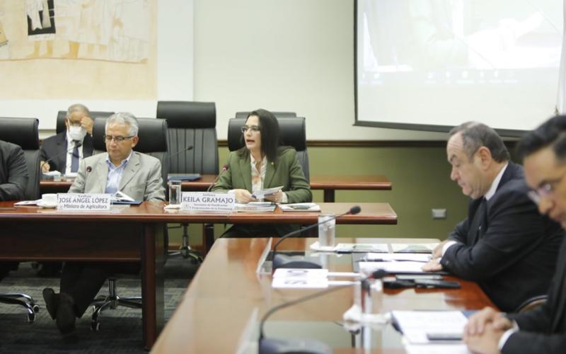 Consejo Nacional de Cambio Climático