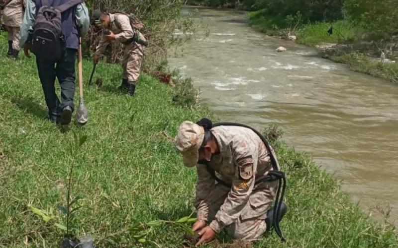 Reforestan cuenca del río San Jerónimo en Baja Verapaz