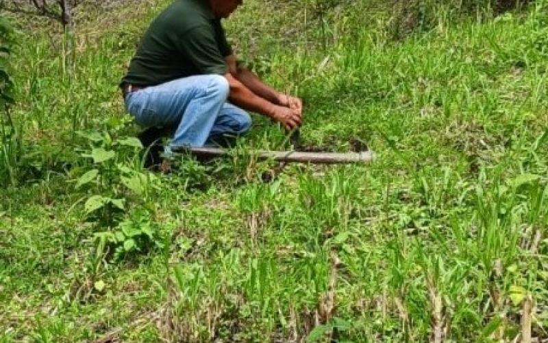 Recuperan áreas de recarga hídrica en San Agustín Acasaguastlán
