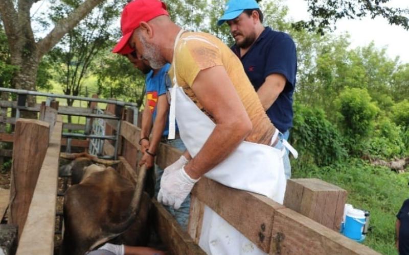 MAGA apoya buenas prácticas de ganadería sostenible en Petén 