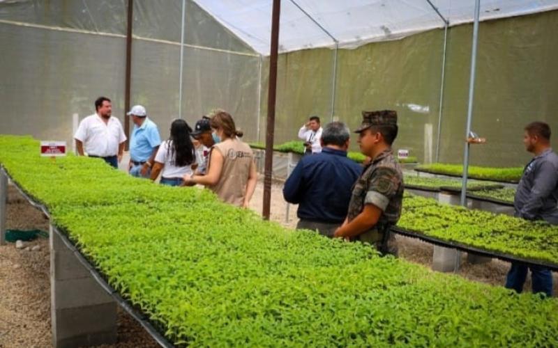 MAGA entrega Centro de Producción de hortalizas en Petén