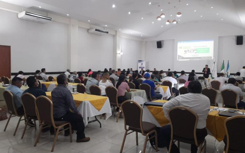 Fotografía en un auditorio con muchas personas, recibiendo una capacitación.