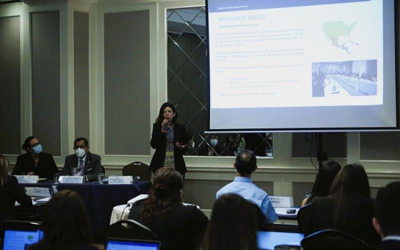 Gobierno presenta logros obtenidos en Primer Foro de Examen de la Migración Internacional  