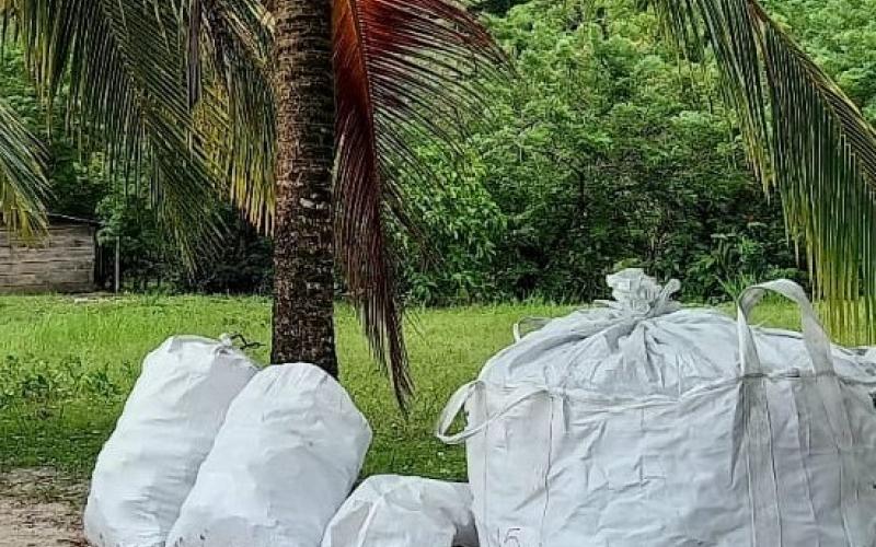 Personal del MARN y voluntarios limpian las playas de Livingston