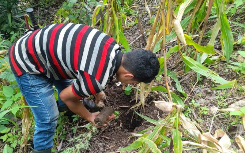 El Progreso recibe cinco mil 500 árboles más para fortalecer los bosques