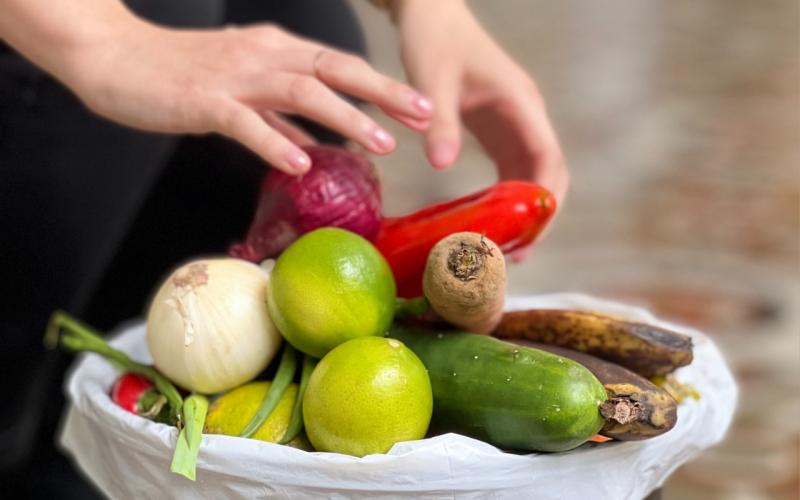 Secretaría de Seguridad Alimentaria y Nutricional 