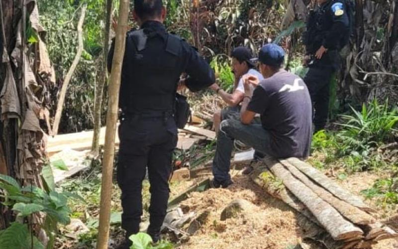 Capturan a personas por transporte y tala ilegal de madera en distintos lugares del país