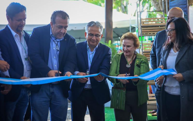 Guatemala avanza en la admisibilidad del aguacate a Estados Unidos
