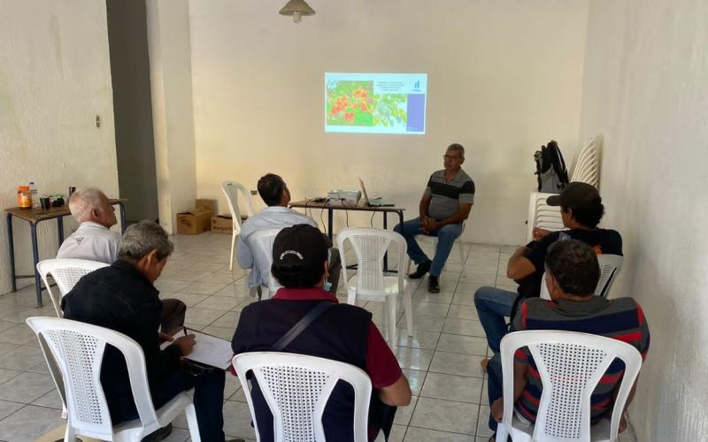MARN fortalece el trabajo de técnicos municipales para la producción de plantas forestales