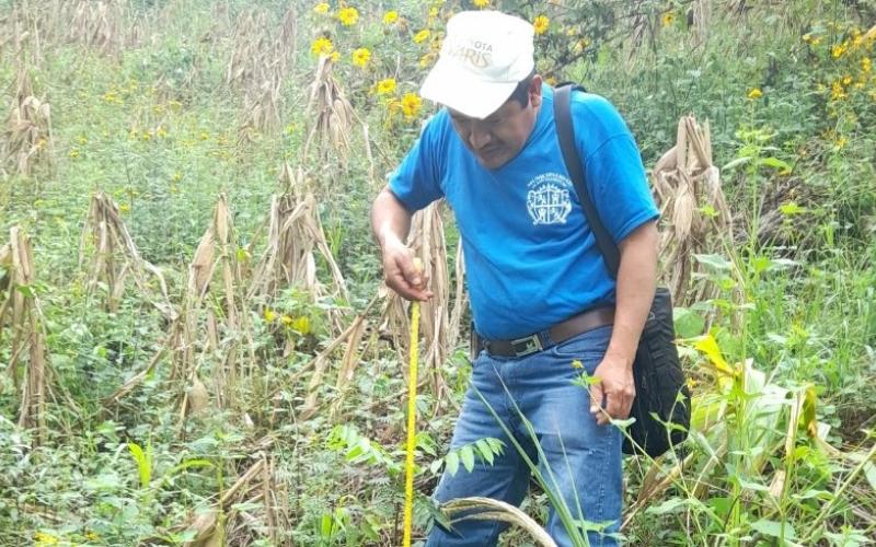 MARN monitorea áreas reforestadas en San Agustín Acasaguastlán