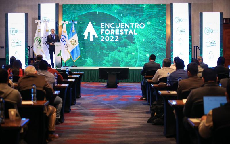 Los recursos forestales contribuyen a la productividad del país 