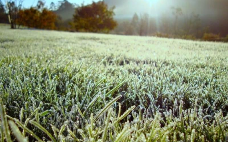 MAGA alerta al sector agropecuario ante el ingreso de frente frío 