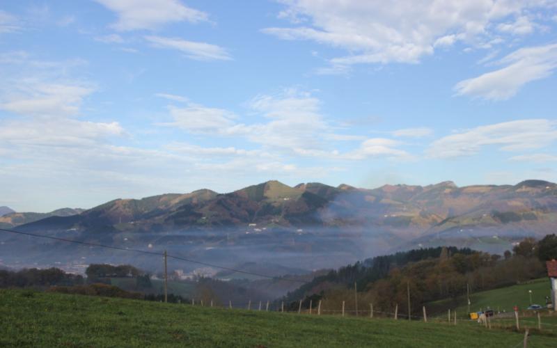 Época fría propicia para la producción de frutos deciduos 
