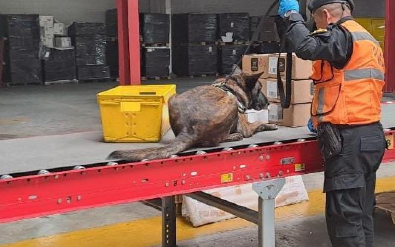 Unidad antinarcótica decomisa metanfetamina en bodega de encomiendas