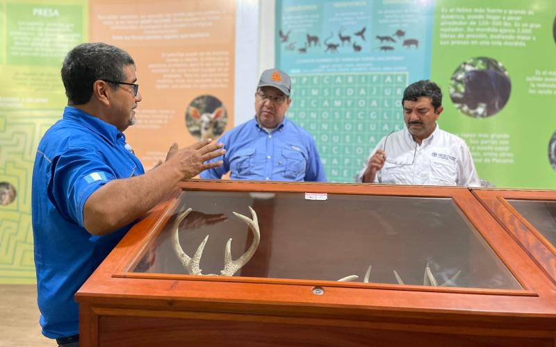 MARN apoya esfuerzos para reducir el tráfico de animales y conservar los ecosistemas