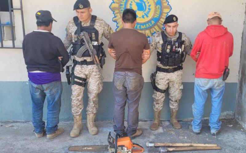 Aprehenden a tres personas por tala ilegal de producto forestal