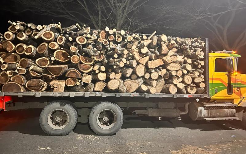 Diprona decomisa 32 metros cúbicos de producto forestal en Escuintla