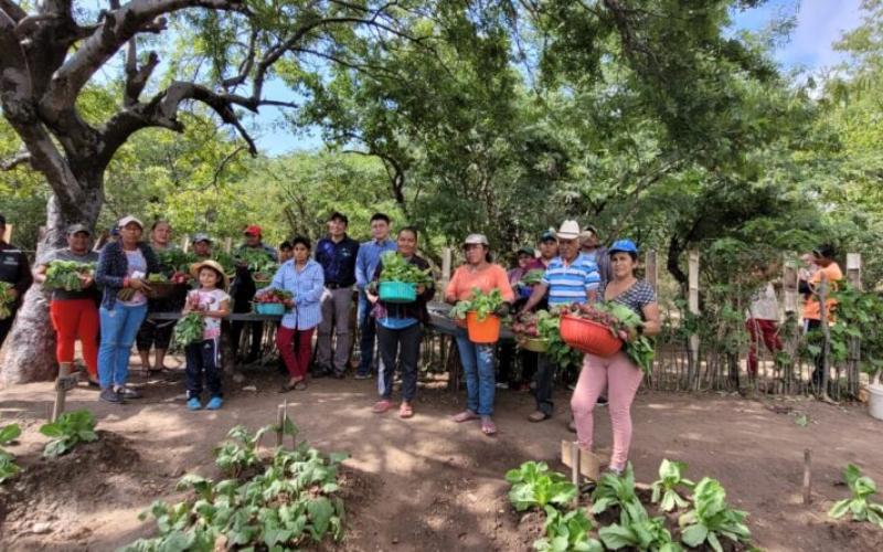 Huertos comunales 