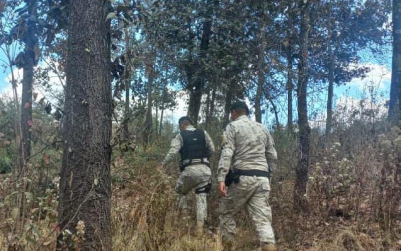 Diprona crea estrategias para la protección y reforestación de los bosques en el país