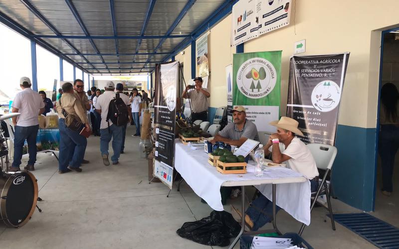 Expositores muestran sus productos en Agro feria en el Progreso, Jutiapa