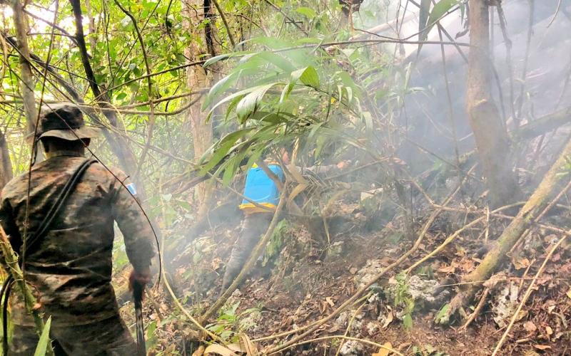 Ejército de Guatemala contribuye en el sofocamiento de incendio forestal registrado en Petén.