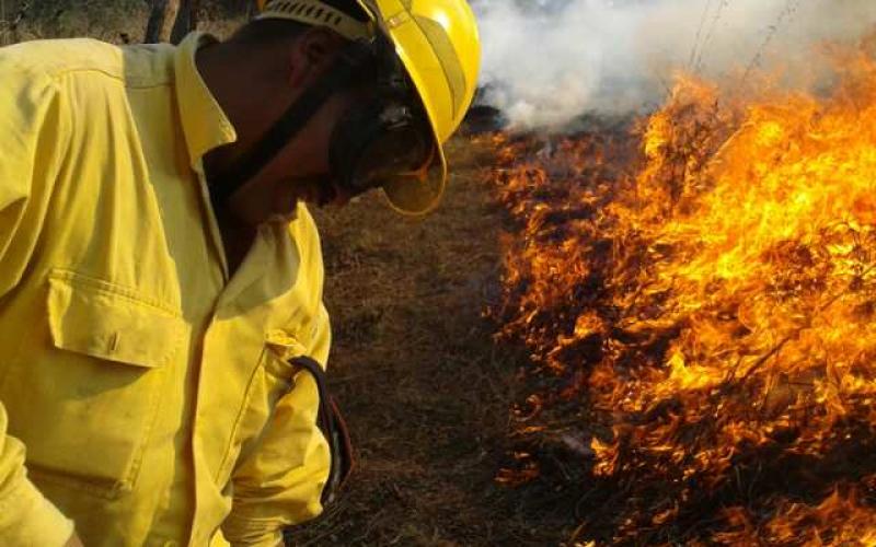 bomberos forestales