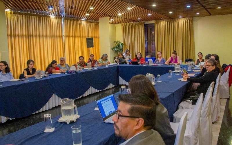 SEPREM socializa acciones para la implementación de la Estrategia de Seguimiento a la CEDAW