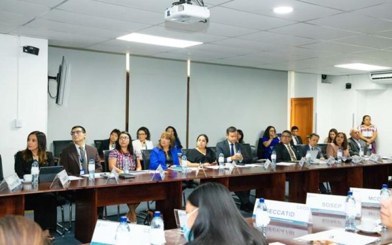 Subsecretaria Presidencial de la Mujer participó en la Reunión Ordinaria del GEDS