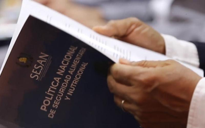 SESAN presenta ante el Grupo de Instituciones de Apoyo política actualizada