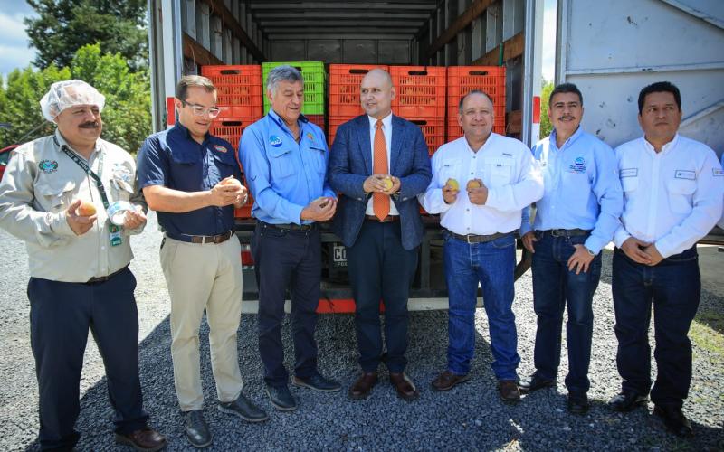 Melocotón guatemalteco se abre mercado en México 