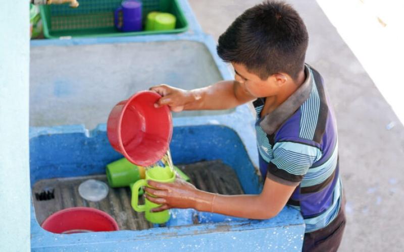 Las OMAS y su papel en la Seguridad Alimentaria y Nutricional