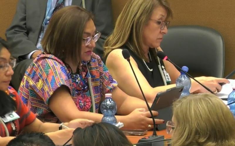 INE presente en la Convención sobre la Eliminación de la Discriminación contra la Mujer (CEDAW)