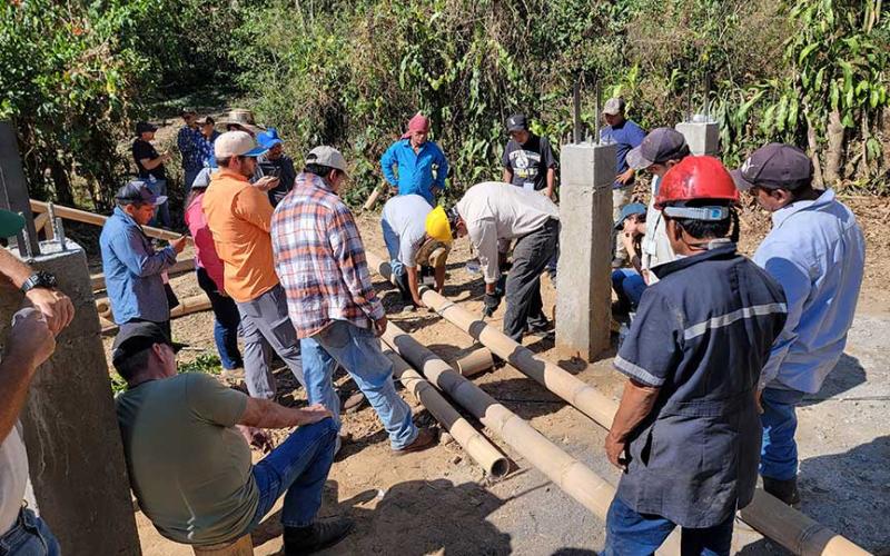 Enseñan a agricultores la utilidad del bambú en construcciones pecuarias