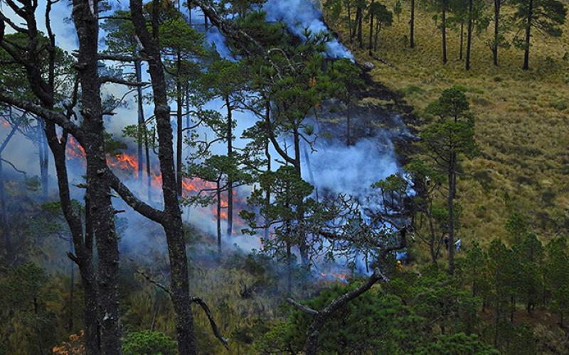 Recomendaciones del MAGA para prevenir incendios forestales