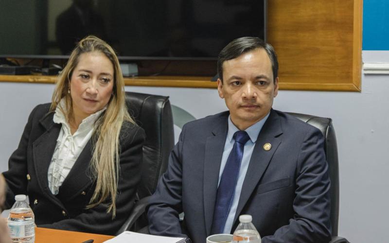 Foto: PROVIAL
