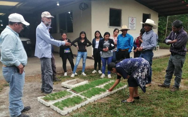Comunidades reforestarán cuenca del río Pojom en Huehuetenango 1