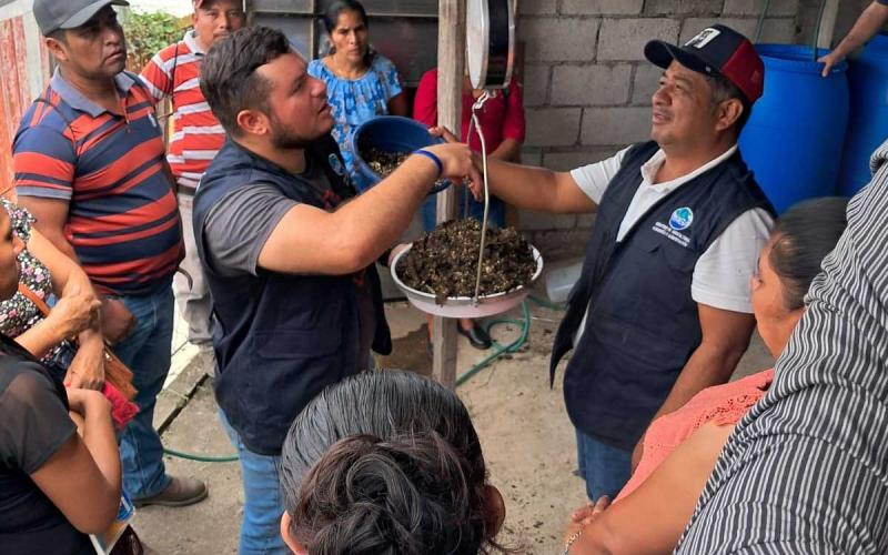 Elaboran de fertilizantes orgánicos en Zacapa