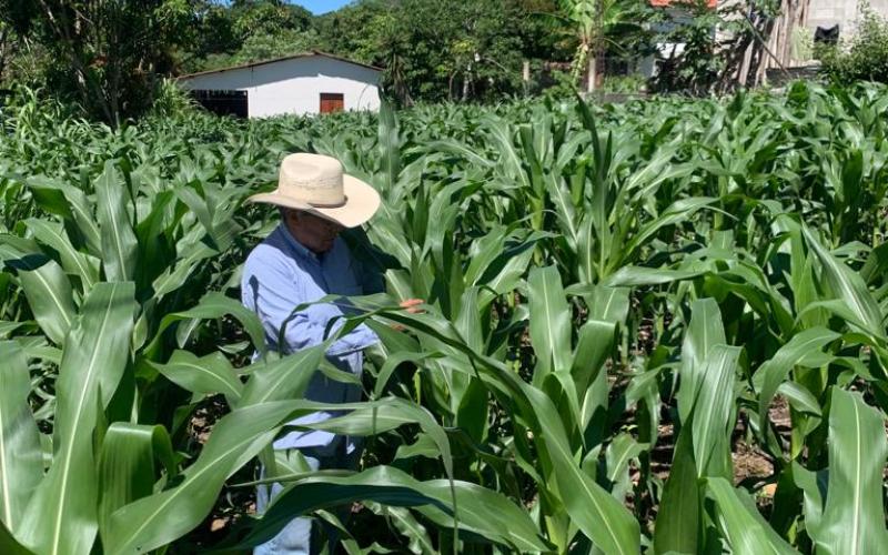 En Jutiapa ya utilizan plaguicidas orgánicos