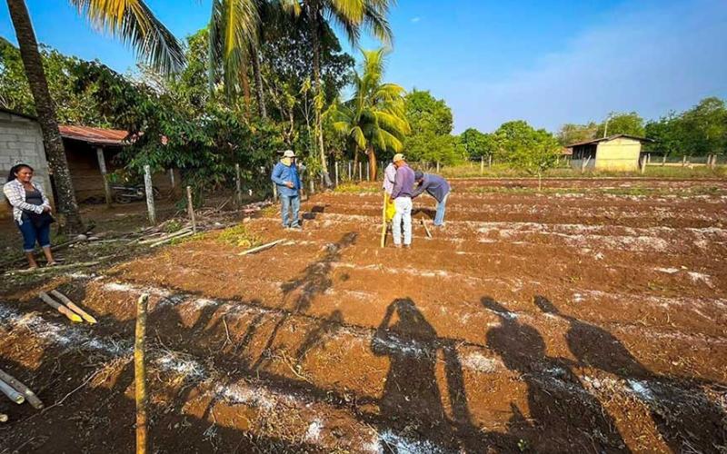 Fortalecen Huertos Familiares en Poptún