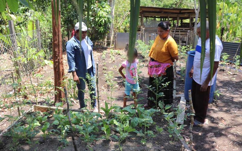 Más familias elaboran huertos familiares en Poptún
