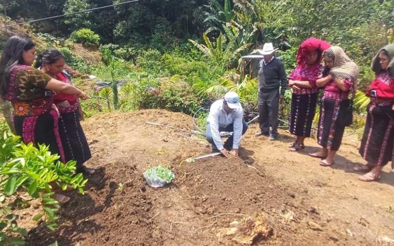 Mujeres de Huehuetenango capacitadas en huertos familiares