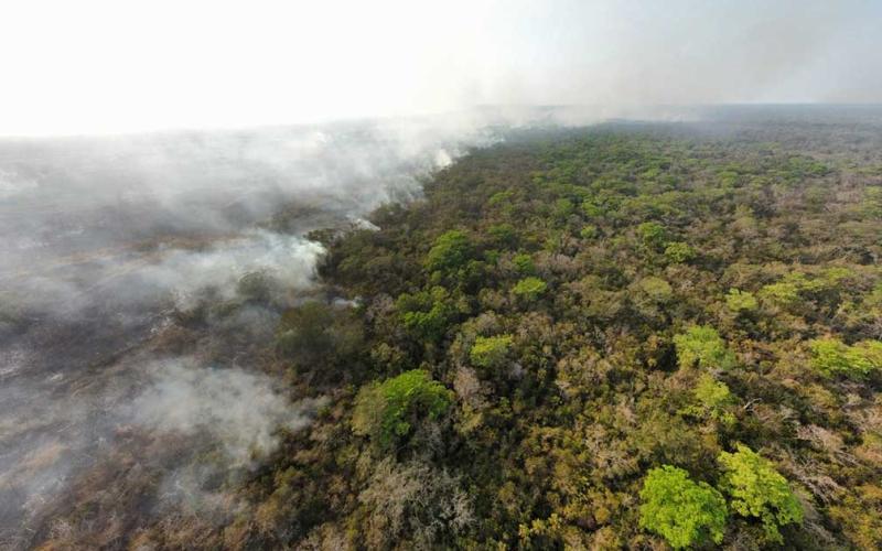 Nueve incendios forestales activos son atendidos en Petén