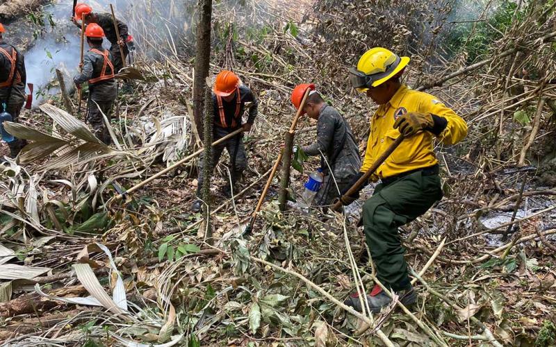 Combatientes de incendios forestales, guardianes de la biodiversidad