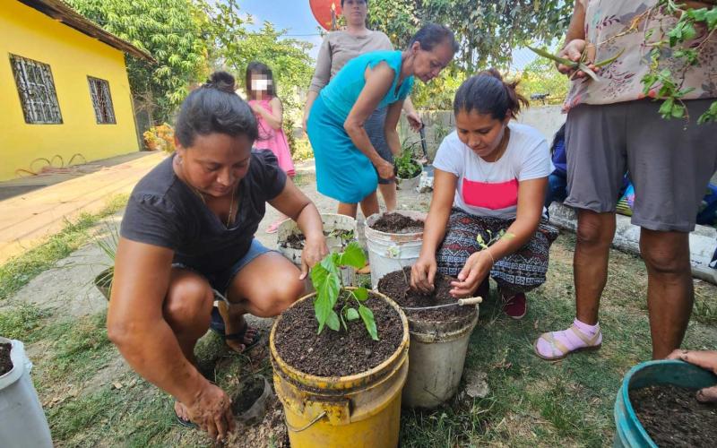 Cultivos de plantas medicinales y aromáticas: opciones para la diversificación de siembras